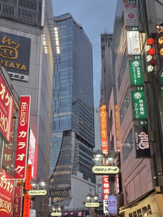 Tokyo, Japan – Shinjuku – photo 3