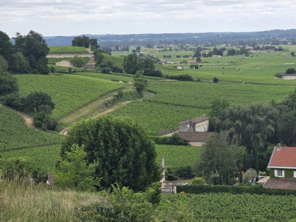 Saint-Emillion, France – Tournon-d'Agenais, Nouvelle-Aquitaine – photo 20