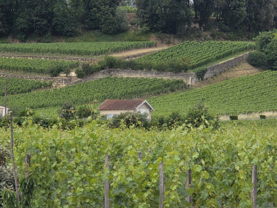 Saint-Emillion, France – Tournon-d'Agenais, Nouvelle-Aquitaine – photo 2
