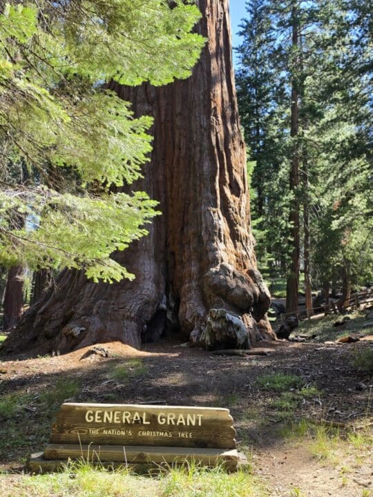 Kings Canyon National Park, CA – California, United States – photo 10