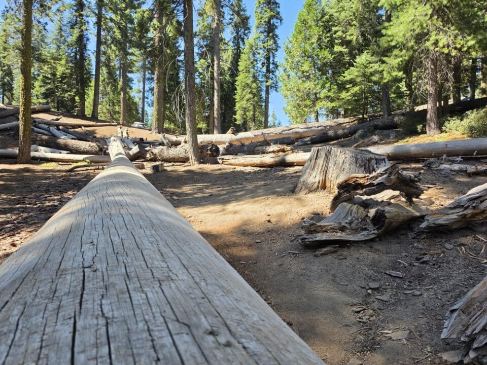 Kings Canyon National Park, CA – California, United States – photo 8