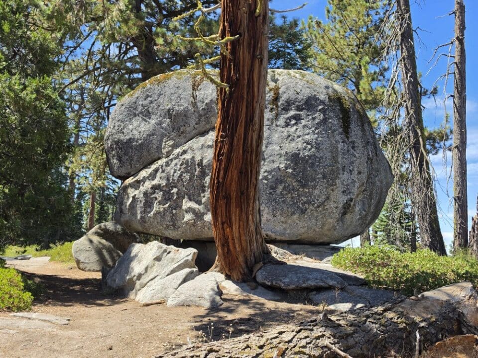 Kings Canyon National Park, CA – California, United States – photo 4