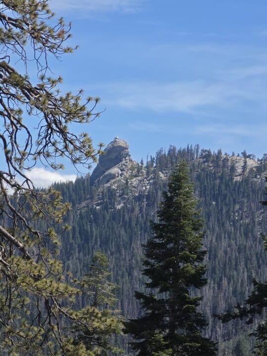 Kings Canyon National Park, CA – California, United States – photo 15