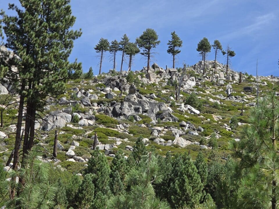 South Lake Tahoe, CA – California, United States – photo 9