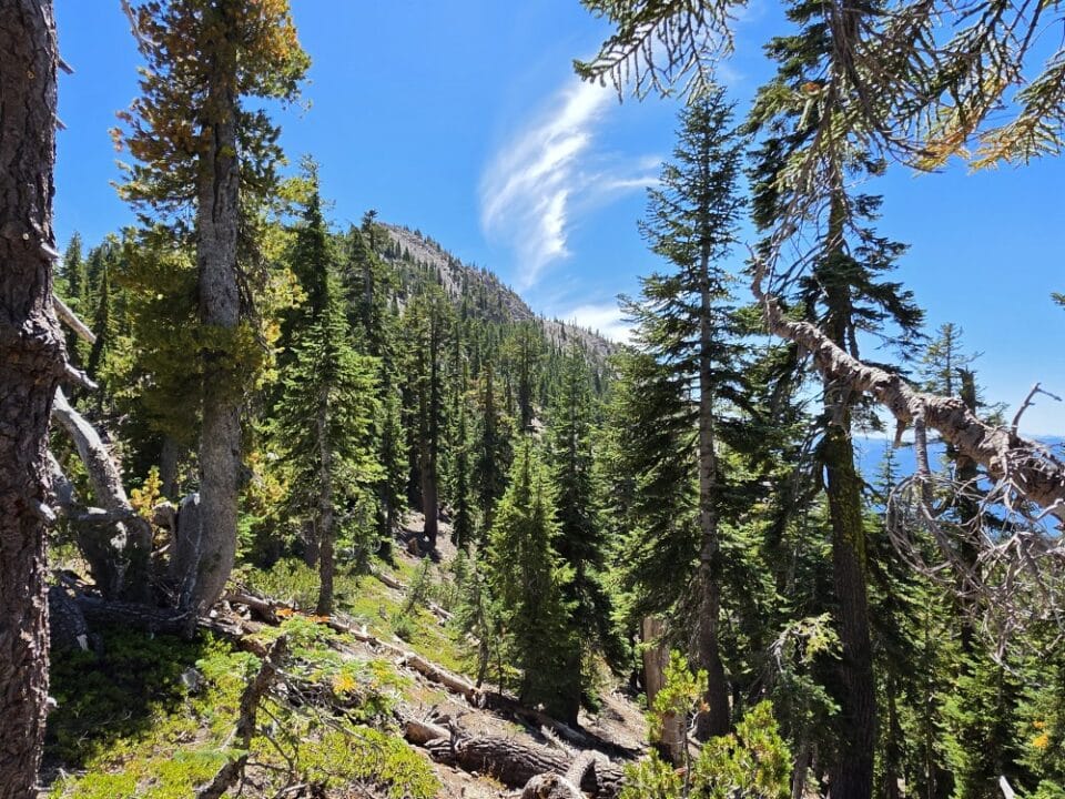 Mt. Shasta, CA – California, United States – photo 7