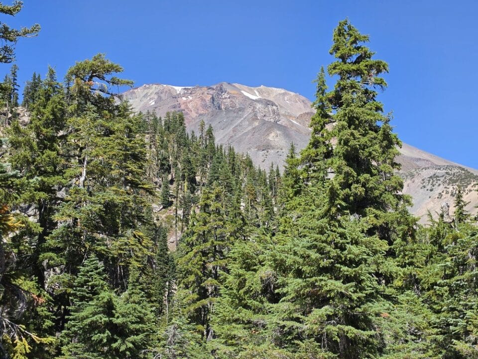 Mt. Shasta, CA – California, United States – photo 8