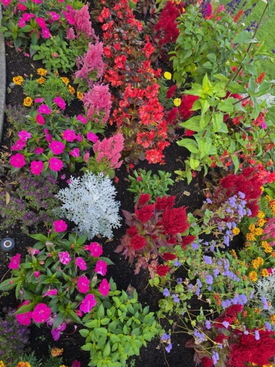Salmon Arm, BC, Canada